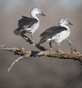 20b88873-7f45-4534-842d-4e89f6b45945_rw_1920