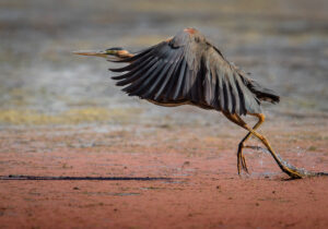 48ead420-e436-4843-9e54-5a023951d167_rw_1920