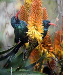 6eed7999-6317-4400-a443-b1a6f4f6c485_rw_1920