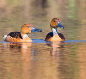 9164f63b-f143-4807-984c-a8f9ea2dacbb_rw_1200