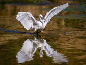 e9c399e1-1704-4547-b469-846c9b46146a_rw_1920